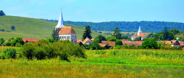 Typical Rural Landscape Plains Transylvania Romania Green Landscape Midsummer Sunny — Stock Photo, Image