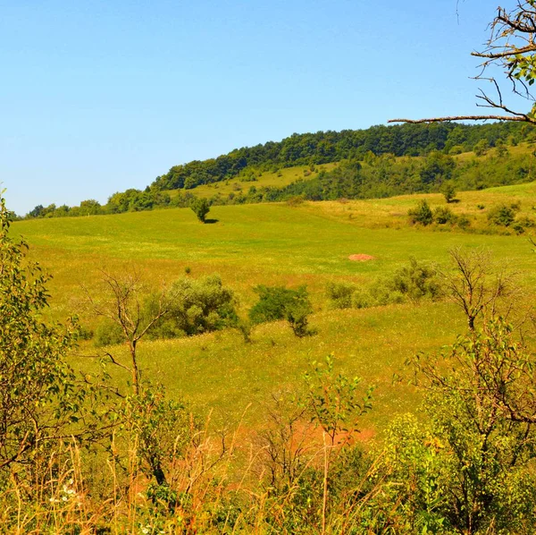 Romanya Nın Transilvanya Ovalarındaki Tipik Kırsal Alan Yazın Ortasında Güneşli — Stok fotoğraf