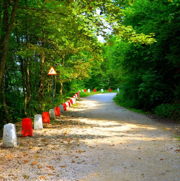 Δρόμος Για Χειμώνα Και Τουριστική Σταθμό Poiana Brasov Χλμ Από — Φωτογραφία Αρχείου