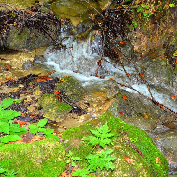 Cesta Zimě Turistické Stanice Poiana Brasov Brašova Město Ležící Rumunsku — Stock fotografie