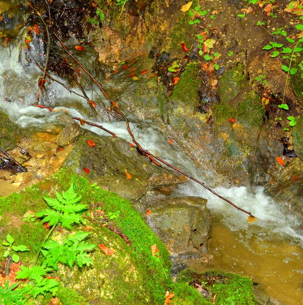 Cesta Zimě Turistické Stanice Poiana Brasov Brašova Město Ležící Rumunsku — Stock fotografie