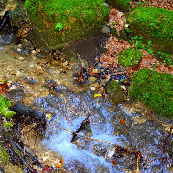 Cesta Zimě Turistické Stanice Poiana Brasov Brašova Město Ležící Rumunsku — Stock fotografie