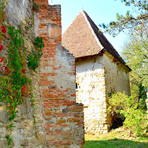 Ruinas Iglesia Evangélica Saxon Medieval Fortificada Pueblo Felmer Felmern Transilvania — Foto de Stock