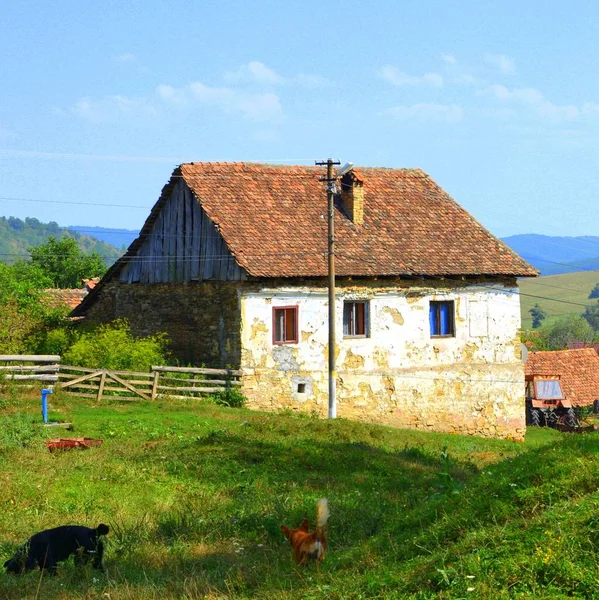 Tipik Kırsal Manzara Köylü Felmer Felmern Transilvanya Romanya Köyde Evler — Stok fotoğraf