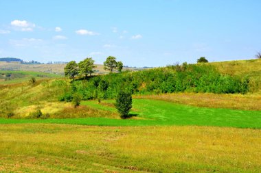 Romanya 'nın Transilvanya ovalarındaki tipik kırsal alan. Yazın ortasında, güneşli bir günde yeşil bir manzara.