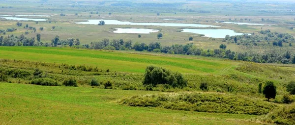 Typiskt Landsbygdslandskap Slätterna Transsylvanien Rumänien Grönt Landskap Midsommar Solig Dag — Stockfoto