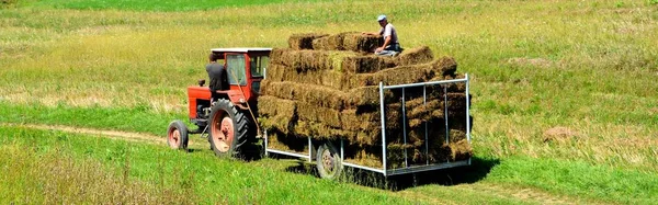 Типовий Сільський Ландшафт Рівнинах Трансільванії Румунія Зелений Пейзаж Середині Літа — стокове фото