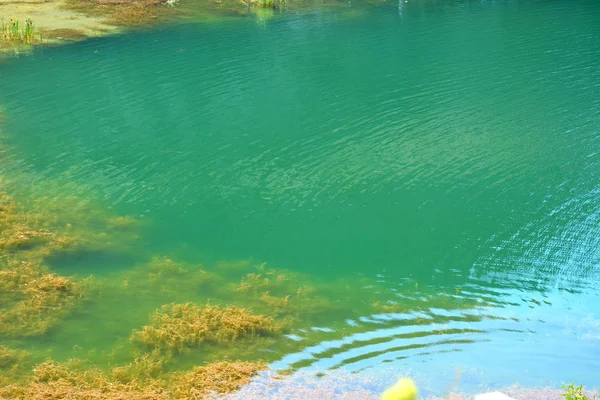 Smaragdové Jezero Opuštěném Kariéru Raco Obec Maďarsku Župě Brašov Sedmihradsko — Stock fotografie