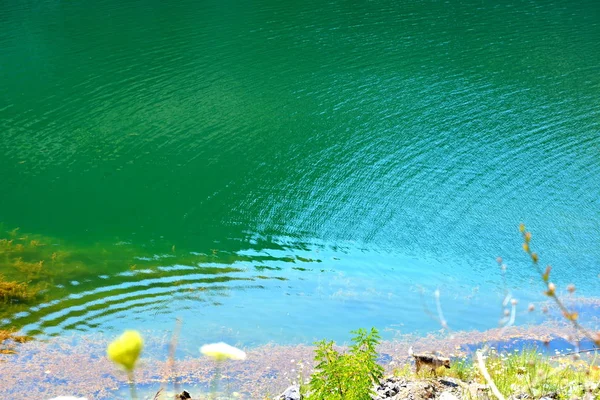 Emerald lake in an abandoned career in Raco, a village in Brasov county, Transylvania, Romania near one active and three abandoned stone career. It is a national protected area