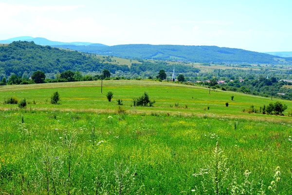 Typická Venkovská Krajina Rovinách Transylvánie Rumunsko Zelená Krajina Uprostřed Léta — Stock fotografie