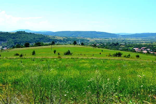 Paisaje Rural Típico Las Llanuras Transilvania Rumania Paisaje Verde Pleno — Foto de Stock