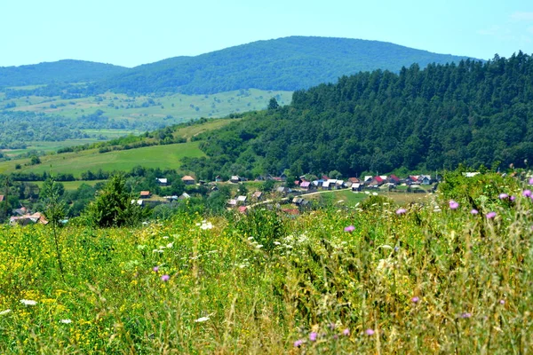 Vue Aérienne Village Racos Transylvanie Roumanie Village Dans Comté Brasov — Photo