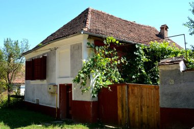 Romanya 'nın Cincu, Grossschenk, Transilvanya kentindeki tipik kırsal alan ve köylü evleri. Yerleşim yeri Sakson koloniciler tarafından 12. yüzyılın ortalarında kuruldu.