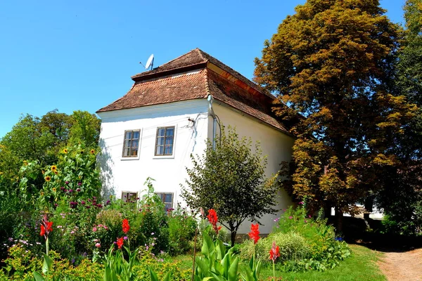 Paisaje Rural Típico Casas Campesinas Cincu Grossschenk Transilvania Rumania Asentamiento — Foto de Stock