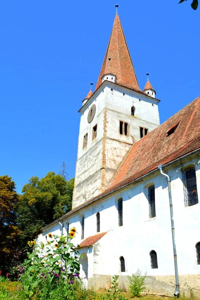 Köyün Cincu Grossschenk Transilvanya Romanya Müstahkem Ortaçağ Sakson Kilise Yerleşim — Stok fotoğraf