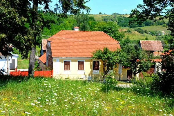 Typiska Landskapet Veseud Zied Kommunen Chirpr Från Sibiu County Transsylvanien — Stockfoto