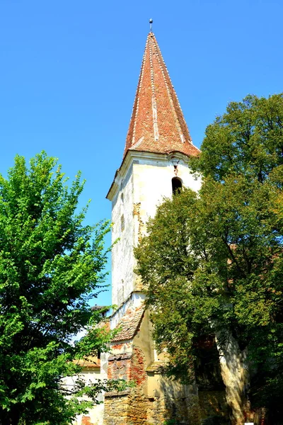 Des Ruines Eglise Évangélique Saxonne Médiévale Fortifiée Dans Vrd Wierd — Photo