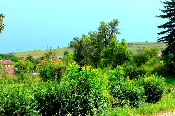 Paisagem Rural Típica Casas Camponeses Dealu Frumos Schoenberg Uma Aldeia — Fotografia de Stock