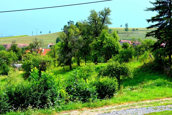 Dealu Frumos Schoenberg Merghindeal Komün Sibiu County Transilvanya Romanya Bir — Stok fotoğraf