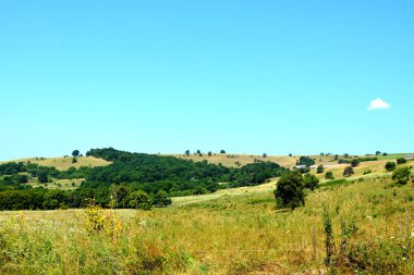Romanya 'nın Transilvanya kentindeki Toarcla, Tartlau, Transilvanya köyündeki tipik kırsal alan ve köylü evleri. Yerleşim yeri Sakson koloniciler tarafından 12. yüzyılın ortalarında kuruldu.