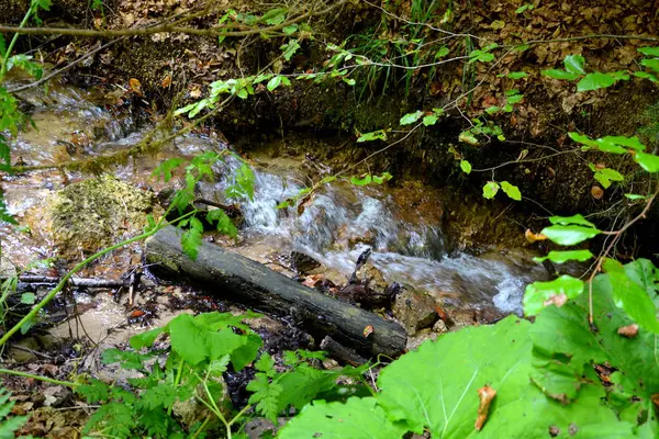 Cesta Zimě Turistické Stanice Poiana Brasov Brašova Město Ležící Rumunsku — Stock fotografie