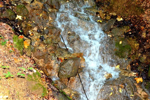 Δρόμος Για Χειμώνα Και Τουριστική Σταθμό Poiana Brasov Χλμ Από — Φωτογραφία Αρχείου