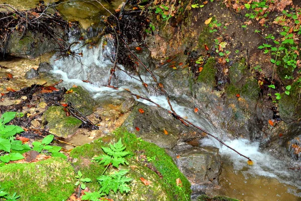 Cesta Zimě Turistické Stanice Poiana Brasov Brašova Město Ležící Rumunsku — Stock fotografie