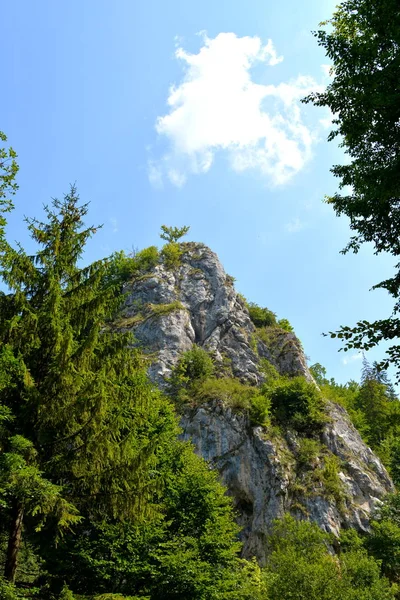 Yol kış ve turistik istasyonuna Poiana Brasov, 12 km uzaklıkta Brasov, Transilvanya, Romanya, ülkenin merkezinde bulunan bir ilçedir. 300.000 nüfuslu. 