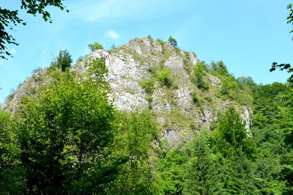 Weg Naar Winter Toeristische Station Poiana Brasov Van Brasov Een — Stockfoto