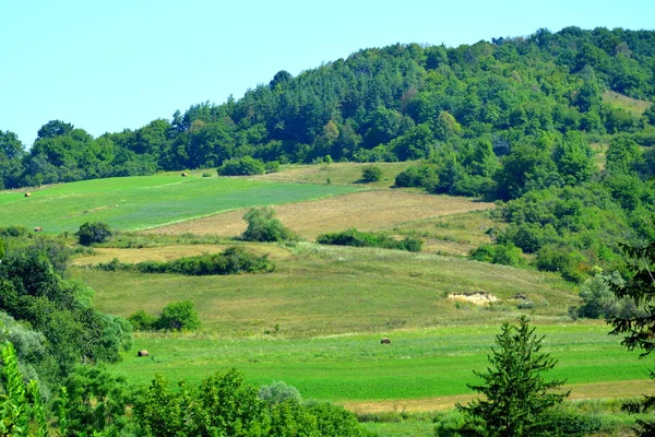 Paisaje Rural Típico Casas Campesinas Pueblo Somartin Martinsberg Mrtelsberg Transilvania — Foto de Stock