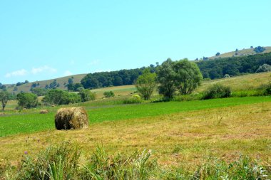 Romanya 'nın Transilvanya kentindeki Toarcla, Tartlau, Transilvanya köyündeki tipik kırsal alan ve köylü evleri. Yerleşim yeri Sakson koloniciler tarafından 12. yüzyılın ortalarında kuruldu.