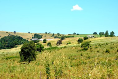 Romanya 'nın Transilvanya kentindeki Toarcla, Tartlau, Transilvanya köyündeki tipik kırsal alan ve köylü evleri. Yerleşim yeri Sakson koloniciler tarafından 12. yüzyılın ortalarında kuruldu.