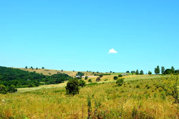 Typowy Wiejski Krajobraz Wiejskie Domy Miejscowości Toarcla Tartlau Transylwania Rumunia — Zdjęcie stockowe