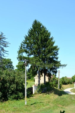 Romanya 'nın Transilvanya ovalarındaki tipik kırsal alan. Yazın ortasında, güneşli bir günde yeşil bir manzara.