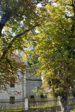 Romanya 'nın Transilvanya ovalarındaki tipik kırsal alan. Yazın ortasında, güneşli bir günde yeşil bir manzara.