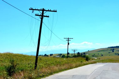 Romanya 'nın Transilvanya ovalarındaki tipik kırsal alan. Yazın ortasında, güneşli bir günde yeşil bir manzara.