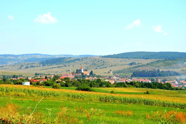 罗马尼亚特兰西瓦尼亚平原典型的农村景观 仲夏的绿意盎然 阳光明媚 — 图库照片
