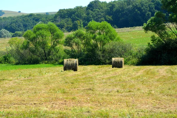 Typisch Landelijk Landschap Vlaktes Van Transsylvanië Roemenië Groene Landschap Het — Stockfoto