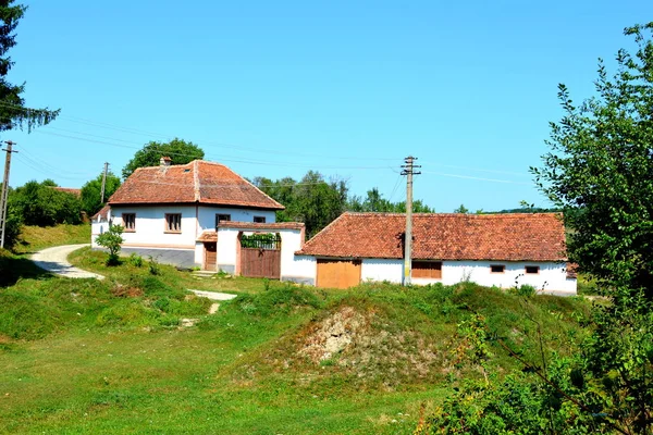 Typische Landelijke Landschap Boerenhuizen Het Dorp Toarcla Tartlau Transsylvanië Roemenië — Stockfoto