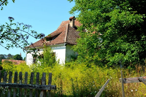 Paysage Rural Typique Dans Les Plaines Transylvanie Roumanie Paysage Vert — Photo