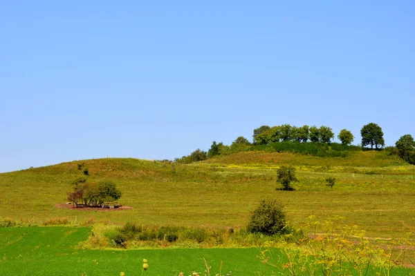 Typická Venkovská Krajina Rovinách Transylvánie Rumunsko Zelená Krajina Uprostřed Léta — Stock fotografie