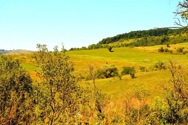 Paisaje Rural Típico Las Llanuras Transilvania Rumania Paisaje Verde Pleno —  Fotos de Stock