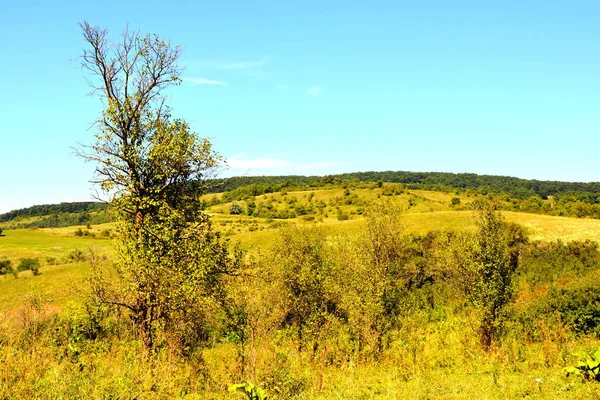 Typische Ländliche Landschaft Den Ebenen Siebenbürgens Rumänien Grüne Landschaft Hochsommer — Stockfoto