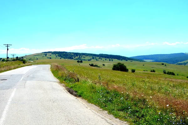 罗马尼亚特兰西瓦尼亚平原典型的农村景观 仲夏的绿意盎然 阳光明媚 — 图库照片