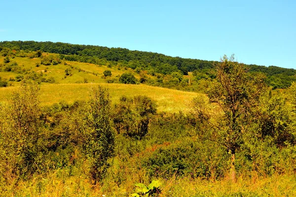 Paysage Rural Typique Dans Les Plaines Transylvanie Roumanie Paysage Vert — Photo