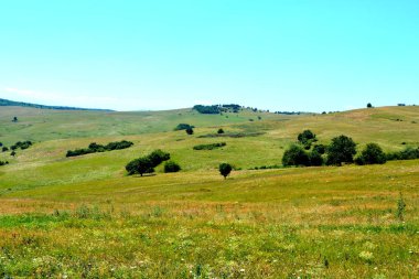 Romanya 'nın Transilvanya ovalarındaki tipik kırsal alan. Yazın ortasında, güneşli bir günde yeşil bir manzara.