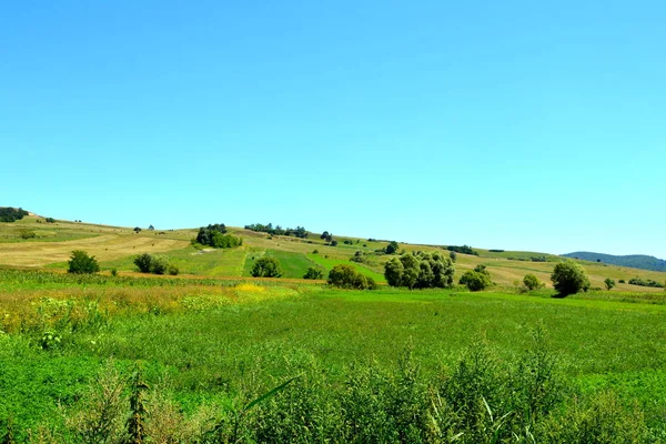 Типовий Сільський Ландшафт Рівнинах Трансільванії Румунія Зелений Пейзаж Середині Літа — стокове фото