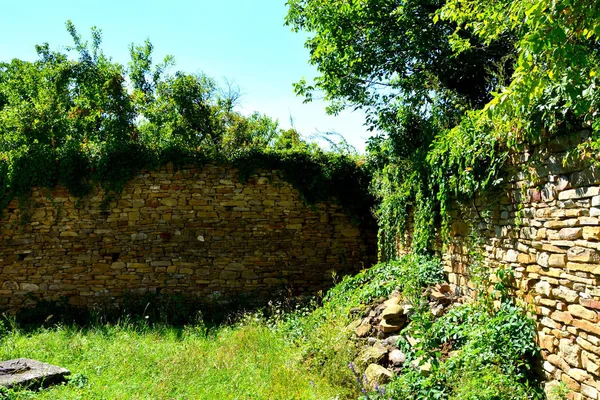 Typiskt Landsbygdslandskap Slätterna Transsylvanien Rumänien Grönt Landskap Midsommar Solig Dag — Stockfoto