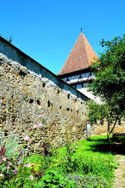 Eglise Saxonne Médiévale Fortifiée Cincsor Kleinschenk Comté Sibiu Transylvanie Roumanie — Photo
