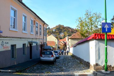 Sonbahar renk, tırmanma bitkiler, liana, Ivy. Transilvanya, Romanya'nın ormanlarda tipik kırsal manzara. Güneşli bir günde sonbaharda sarı manzara